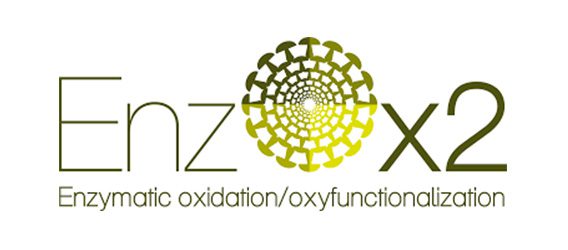 EnzoOX2