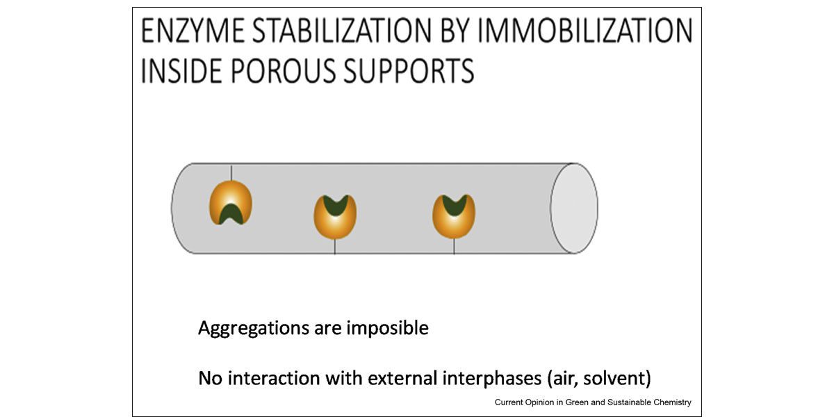 Enzyme immobilization strategies