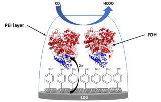 Carbon nanotubes