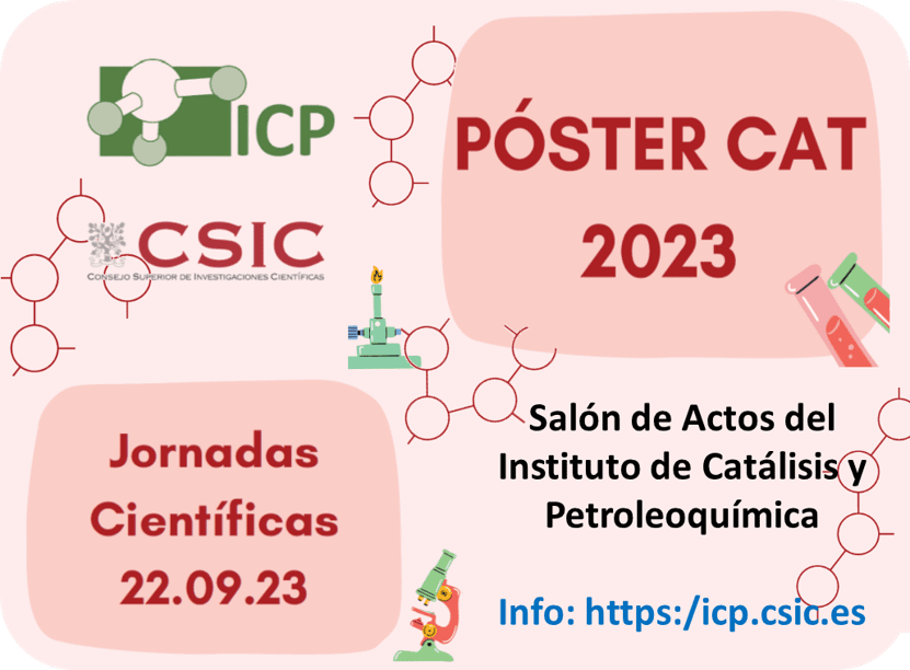 Jornada Científica de Jóvenes Investigador@s del ICP 4 Imagen1