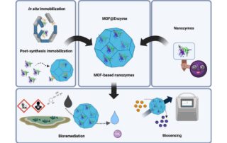 Metal organic frameworks