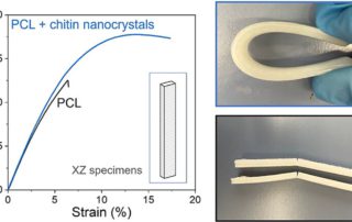 Chitin Nanocomposites