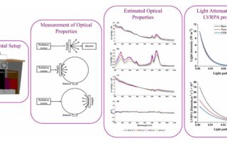 Exploring optical properties