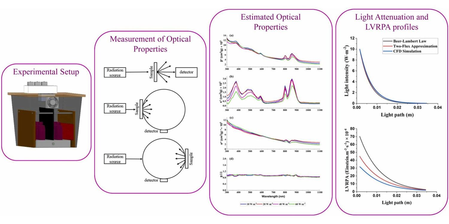 Exploring optical properties